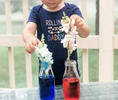 Stem Activity: Color Changing Flowers - Housebound With Kids